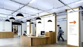 acoustic consulting bfs pro 1