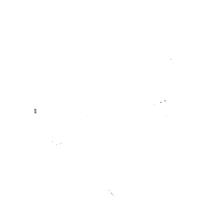 market development2